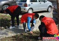 州、市直單位發揮示范作用 下沉河南街道各社區助力創城