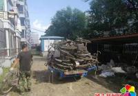 白豐社區開展廢舊自行車清理整治行動