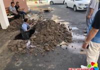 協調維修自來水管 確保居民正常用水