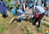 丹嶺社區開展“播種小花種，建設大庭院”志愿服務活動