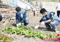 北山街道機關黨支部開展“整治環境衛生 創建美麗家園”活動